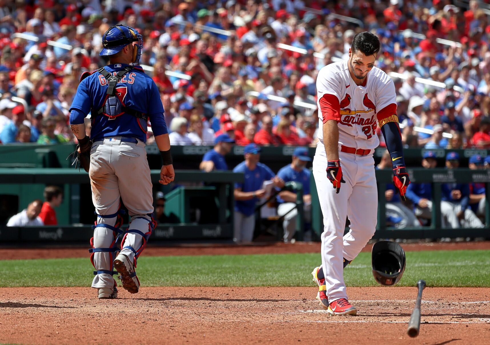 Chicago Cubs vs St. Louis Cardinals